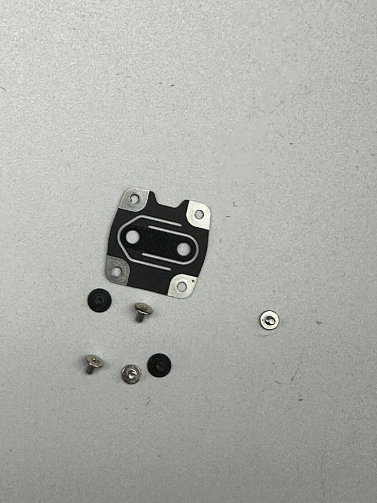 Touch ID metal backing spring